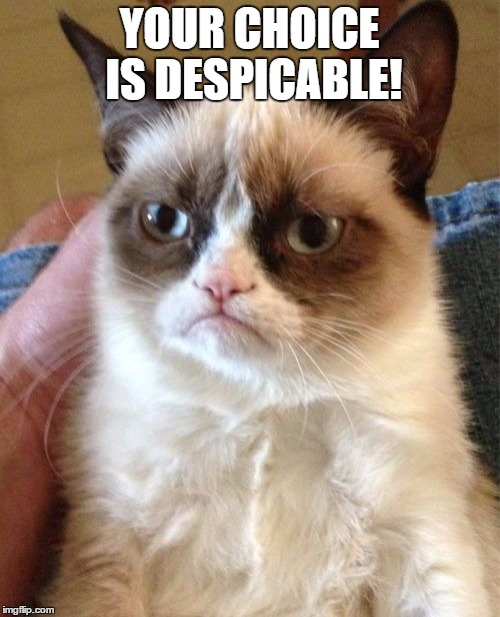 Grumpy Cat Meme | YOUR CHOICE IS DESPICABLE! | image tagged in memes,grumpy cat | made w/ Imgflip meme maker