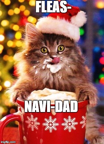 Happy early holidays! | FLEAS-; NAVI-DAD | image tagged in cats,christmas | made w/ Imgflip meme maker