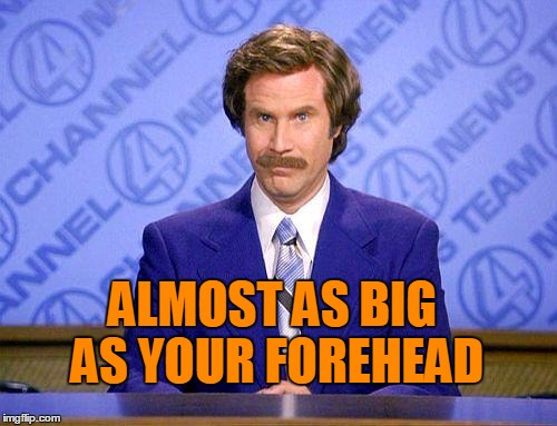 anchorman news update | ALMOST AS BIG AS YOUR FOREHEAD | image tagged in anchorman news update | made w/ Imgflip meme maker