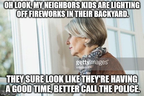 OH LOOK, MY NEIGHBORS KIDS ARE LIGHTING OFF FIREWORKS IN THEIR BACKYARD. THEY SURE LOOK LIKE THEY'RE HAVING A GOOD TIME, BETTER CALL THE POLICE. | image tagged in dont be like her,fireworks,4th of july | made w/ Imgflip meme maker