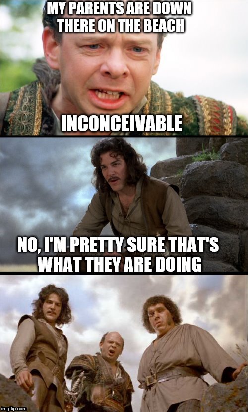 That word... | MY PARENTS ARE DOWN THERE ON THE BEACH; INCONCEIVABLE; NO, I'M PRETTY SURE THAT'S WHAT THEY ARE DOING | image tagged in princess bride 3 panel,memes | made w/ Imgflip meme maker