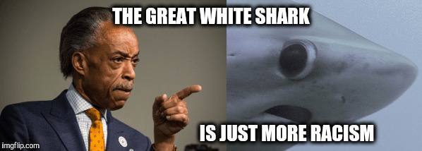 THE GREAT WHITE SHARK IS JUST MORE RACISM | made w/ Imgflip meme maker