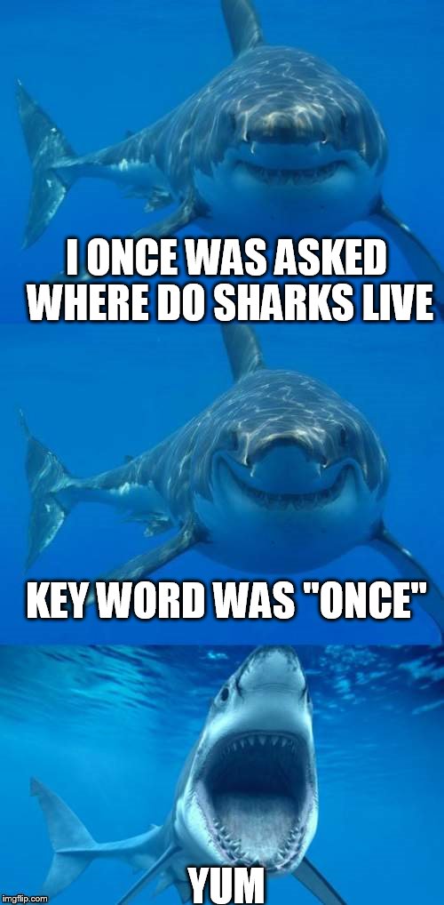 Bad Shark Pun  | I ONCE WAS ASKED WHERE DO SHARKS LIVE; KEY WORD WAS "ONCE"; YUM | image tagged in bad shark pun | made w/ Imgflip meme maker