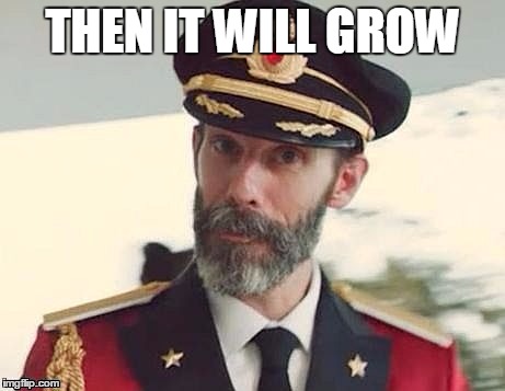 Captain Obvious | THEN IT WILL GROW | image tagged in captain obvious | made w/ Imgflip meme maker