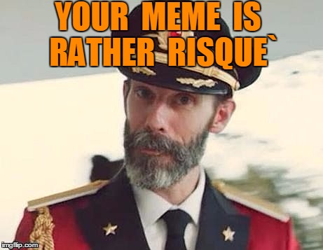 Captain Obvious | YOUR  MEME  IS  RATHER  RISQUE` | image tagged in captain obvious | made w/ Imgflip meme maker