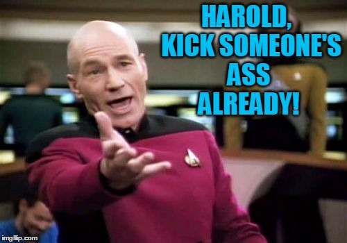 Picard Wtf Meme | HAROLD,  KICK SOMEONE'S ASS ALREADY! | image tagged in memes,picard wtf | made w/ Imgflip meme maker