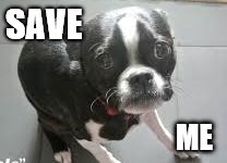 SAVE; ME | made w/ Imgflip meme maker