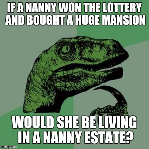 Philosoraptor | IF A NANNY WON THE LOTTERY AND BOUGHT A HUGE MANSION; WOULD SHE BE LIVING IN A NANNY ESTATE? | image tagged in memes,philosoraptor | made w/ Imgflip meme maker