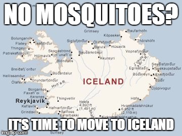 NO MOSQUITOES? IT'S TIME TO MOVE TO ICELAND | image tagged in iceland | made w/ Imgflip meme maker