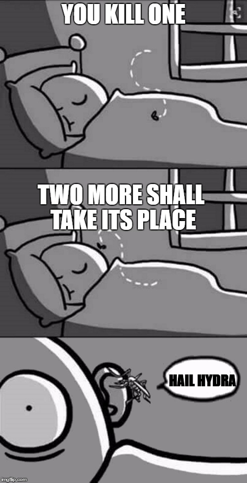 hounting mosquito | YOU KILL ONE; TWO MORE SHALL TAKE ITS PLACE; HAIL HYDRA | image tagged in hounting mosquito | made w/ Imgflip meme maker