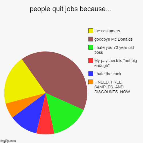 people quit jobs because... | image tagged in funny,pie charts,jobs,work,lazy,mcdonalds | made w/ Imgflip chart maker