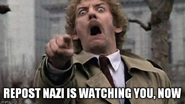 donald sutherland body snatchers point | REPOST NAZI IS WATCHING YOU, NOW | image tagged in donald sutherland body snatchers point | made w/ Imgflip meme maker