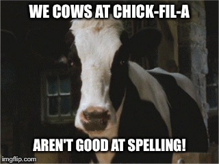 We Cows At Chick-Fil-A Aren't Good At Spelling! |  WE COWS AT CHICK-FIL-A; AREN'T GOOD AT SPELLING! | image tagged in betsy,memes,charlotte's web,reba mcentire,chick-fil-a,cow | made w/ Imgflip meme maker