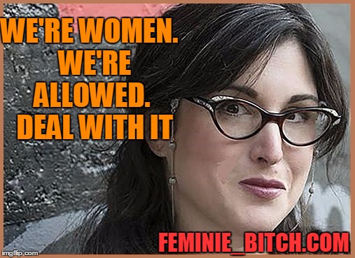 feminist Zeisler | WE'RE WOMEN.  WE'RE ALLOWED.  DEAL WITH IT FEMINIE_B**CH.COM | image tagged in feminist zeisler | made w/ Imgflip meme maker