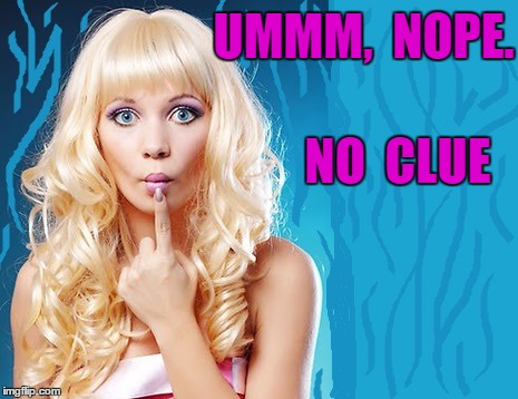 ditzy blonde | UMMM,  NOPE. NO  CLUE | image tagged in ditzy blonde | made w/ Imgflip meme maker