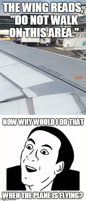 Leaving Seattle From The Airport And I Saw This Meme Idea! (I Got Back On The 2nd Of July) | THE WING READS, "DO NOT WALK ON THIS AREA."; NOW WHY WOULD I DO THAT; WHEN THE PLANE IS FLYING? | image tagged in memes | made w/ Imgflip meme maker