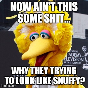 Big Bird | NOW AIN'T THIS SOME SHIT... WHY THEY TRYING TO LOOK LIKE SNUFFY? | image tagged in memes,big bird | made w/ Imgflip meme maker