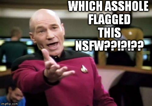 Picard Wtf Meme | WHICH ASSHOLE FLAGGED THIS NSFW??!?!?? | image tagged in memes,picard wtf | made w/ Imgflip meme maker