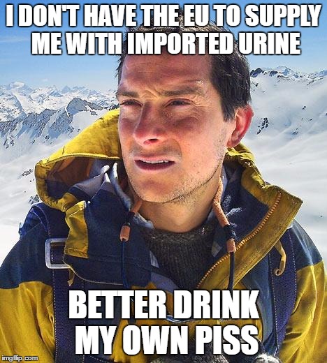 Bear Grylls | I DON'T HAVE THE EU TO SUPPLY ME WITH IMPORTED URINE; BETTER DRINK MY OWN PISS | image tagged in memes,bear grylls | made w/ Imgflip meme maker