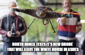 NORTH KOREA TESTS IT'S NEW DRONE THAT WILL LEAVE THE WHITE HOUSE IN ASHES | image tagged in catcopter | made w/ Imgflip meme maker