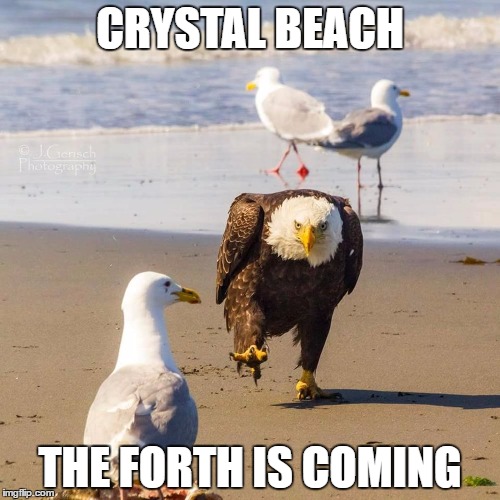 CRYSTAL BEACH; THE FORTH IS COMING | image tagged in eagle | made w/ Imgflip meme maker