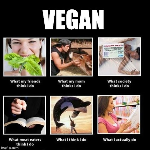 Vegan mean  | VEGAN | image tagged in vegan,vegans do everthing better even fart,funny,funny memes | made w/ Imgflip meme maker
