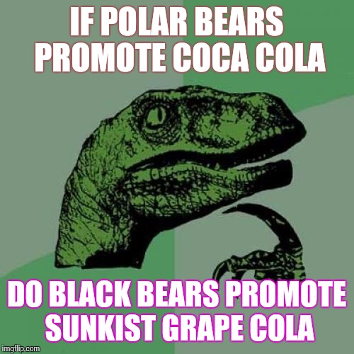 Philosoraptor | IF POLAR BEARS PROMOTE COCA COLA; DO BLACK BEARS PROMOTE SUNKIST GRAPE COLA | image tagged in memes,philosoraptor | made w/ Imgflip meme maker