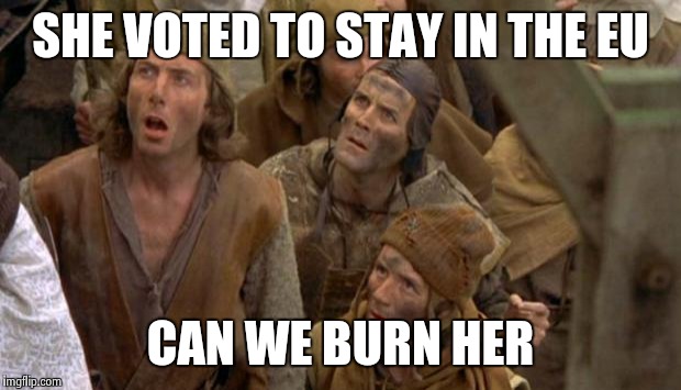 Monty Python Peasants | SHE VOTED TO STAY IN THE EU; CAN WE BURN HER | image tagged in monty python peasants | made w/ Imgflip meme maker