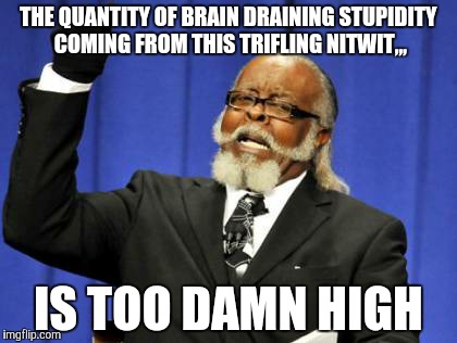 Too Damn High | THE QUANTITY OF BRAIN DRAINING STUPIDITY COMING FROM THIS TRIFLING NITWIT,,, IS TOO DAMN HIGH | image tagged in memes,too damn high | made w/ Imgflip meme maker