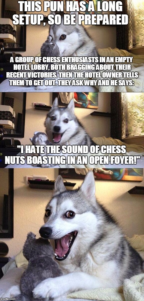 Bad Pun Dog | THIS PUN HAS A LONG SETUP, SO BE PREPARED; A GROUP OF CHESS ENTHUSIASTS IN AN EMPTY HOTEL LOBBY, BOTH BRAGGING ABOUT THEIR RECENT VICTORIES. THEN THE HOTEL OWNER TELLS THEM TO GET OUT. THEY ASK WHY AND HE SAYS:; "I HATE THE SOUND OF CHESS NUTS BOASTING IN AN OPEN FOYER!" | image tagged in memes,bad pun dog | made w/ Imgflip meme maker