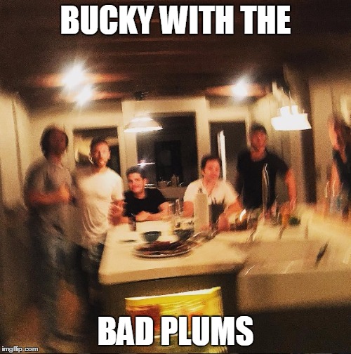The Winter Soldier and his Plums | BUCKY WITH THE; BAD PLUMS | image tagged in winter soldier | made w/ Imgflip meme maker