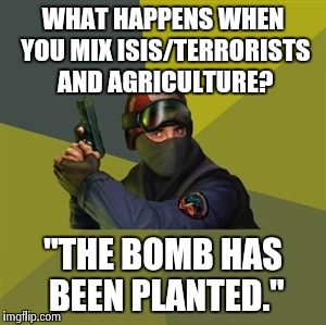 Bad Pun Counter-Terrorist | WHAT HAPPENS WHEN YOU MIX ISIS/TERRORISTS AND AGRICULTURE? "THE BOMB HAS BEEN PLANTED." | image tagged in counter strike,memes,funny,bad pun | made w/ Imgflip meme maker