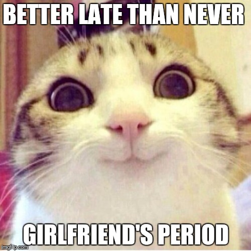 Hip..  Hip..  Hurray  | BETTER LATE THAN NEVER; GIRLFRIEND'S PERIOD | image tagged in happy cat | made w/ Imgflip meme maker