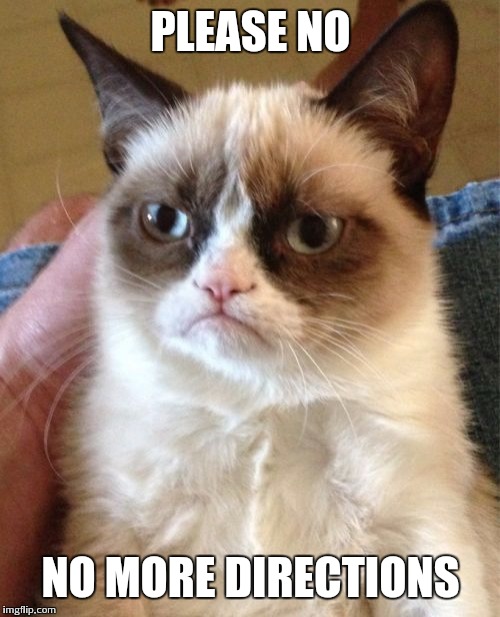 Grumpy Cat Meme | PLEASE NO NO MORE DIRECTIONS | image tagged in memes,grumpy cat | made w/ Imgflip meme maker