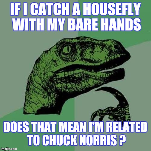 Philosoraptor Meme | IF I CATCH A HOUSEFLY WITH MY BARE HANDS; DOES THAT MEAN I'M RELATED TO CHUCK NORRIS ? | image tagged in memes,philosoraptor,chuck norris | made w/ Imgflip meme maker