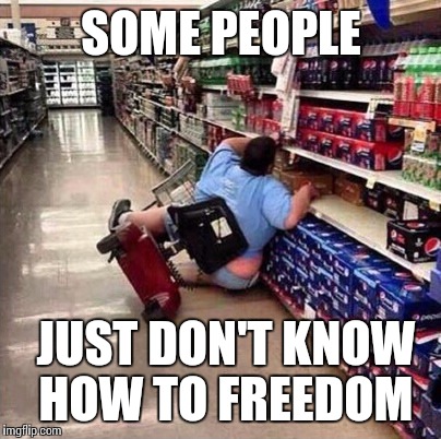Fat Person Falling Over | SOME PEOPLE; JUST DON'T KNOW HOW TO FREEDOM | image tagged in fat person falling over | made w/ Imgflip meme maker