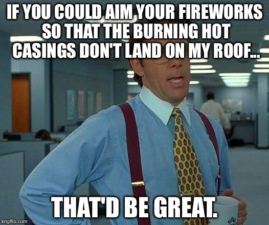 That Would Be Great Meme | IF YOU COULD AIM YOUR FIREWORKS SO THAT THE BURNING HOT CASINGS DON'T LAND ON MY ROOF... THAT'D BE GREAT. | image tagged in memes,that would be great | made w/ Imgflip meme maker