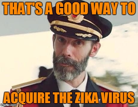 Captain Obvious | THAT'S A GOOD WAY TO ACQUIRE THE ZIKA VIRUS | image tagged in captain obvious | made w/ Imgflip meme maker
