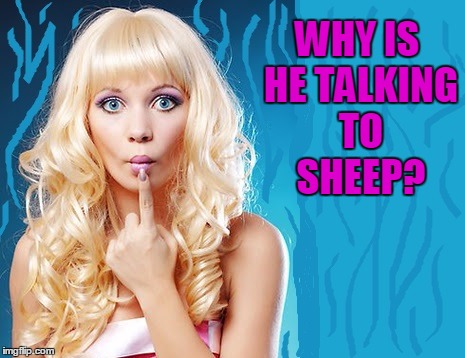ditzy blonde | WHY IS HE TALKING TO SHEEP? | image tagged in ditzy blonde | made w/ Imgflip meme maker