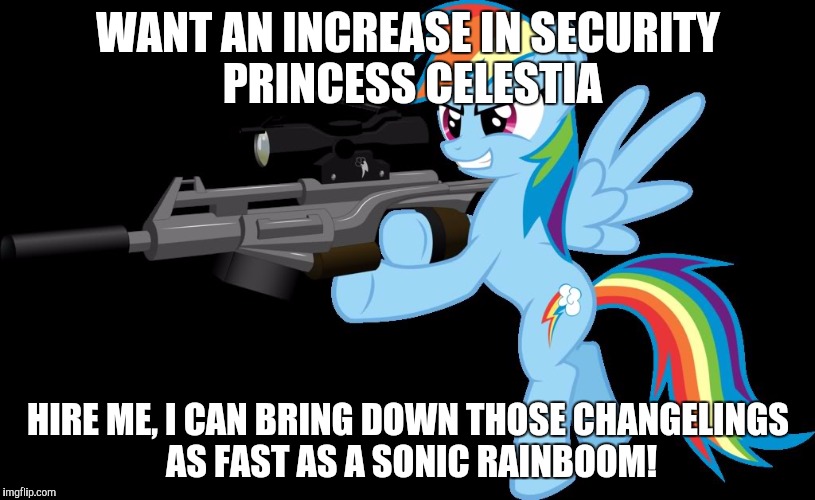 gunning rainbow dash | WANT AN INCREASE IN SECURITY PRINCESS CELESTIA; HIRE ME, I CAN BRING DOWN THOSE CHANGELINGS AS FAST AS A SONIC RAINBOOM! | image tagged in gunning rainbow dash | made w/ Imgflip meme maker