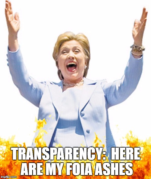 Hillary FOIA Ashes | TRANSPARENCY:  HERE ARE MY FOIA ASHES | image tagged in hillary's schedules,hillary,foia,ashes hillary,hillary clinton foia | made w/ Imgflip meme maker