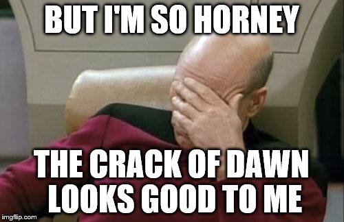 Captain Picard Facepalm Meme | BUT I'M SO HORNEY THE CRACK OF DAWN LOOKS GOOD TO ME | image tagged in memes,captain picard facepalm | made w/ Imgflip meme maker