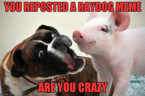 YOU REPOSTED A RAYDOG MEME ARE YOU CRAZY | made w/ Imgflip meme maker