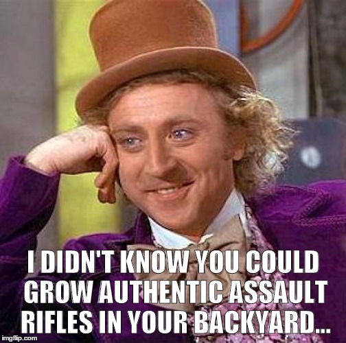 Creepy Condescending Wonka Meme | I DIDN'T KNOW YOU COULD GROW AUTHENTIC ASSAULT RIFLES IN YOUR BACKYARD... | image tagged in memes,creepy condescending wonka | made w/ Imgflip meme maker