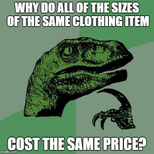 For everything else in life, the bigger thing costs more. | WHY DO ALL OF THE SIZES OF THE SAME CLOTHING ITEM; COST THE SAME PRICE? | image tagged in memes,philosoraptor,fat people,economics | made w/ Imgflip meme maker