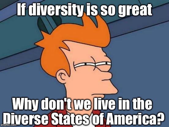 Futurama Fry Meme | If diversity is so great; Why don't we live in the Diverse States of America? | image tagged in memes,futurama fry | made w/ Imgflip meme maker