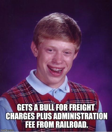 Bad Luck Brian Meme | GETS A BULL FOR FREIGHT CHARGES PLUS ADMINISTRATION FEE FROM RAILROAD. | image tagged in memes,bad luck brian | made w/ Imgflip meme maker