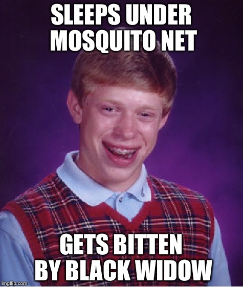 Bad Luck Brian Meme | SLEEPS UNDER MOSQUITO NET GETS BITTEN BY BLACK WIDOW | image tagged in memes,bad luck brian | made w/ Imgflip meme maker