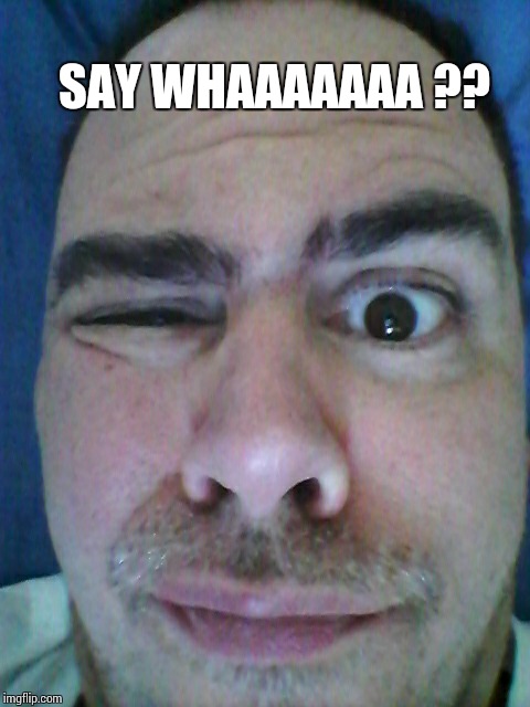 SAY WHAAAAAAA ?? | image tagged in wha | made w/ Imgflip meme maker