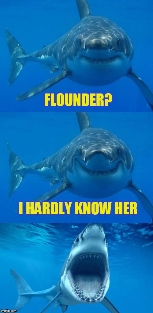 Bad Shark Pun  | FLOUNDER? I HARDLY KNOW HER | image tagged in bad shark pun | made w/ Imgflip meme maker